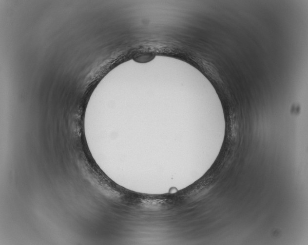 X0000110740450200907131124