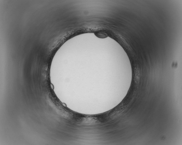 X0000110740451200907131124