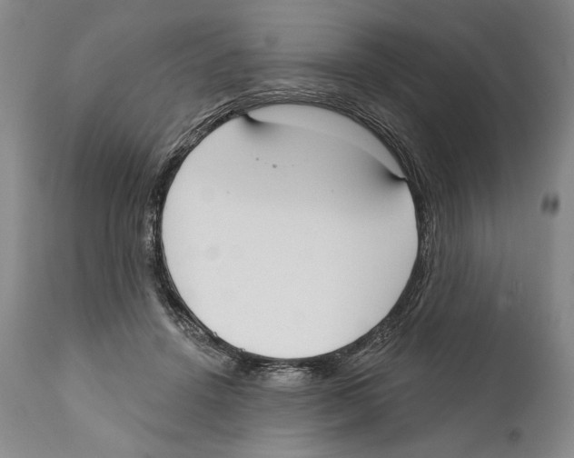 X0000110740456200907131124