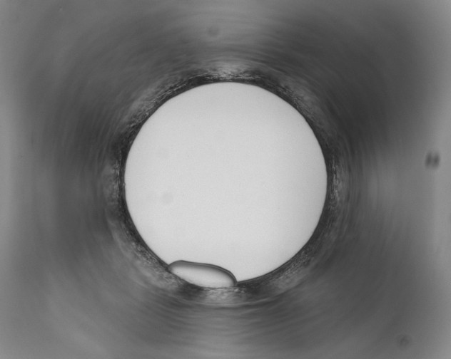 X0000110740461200907131124