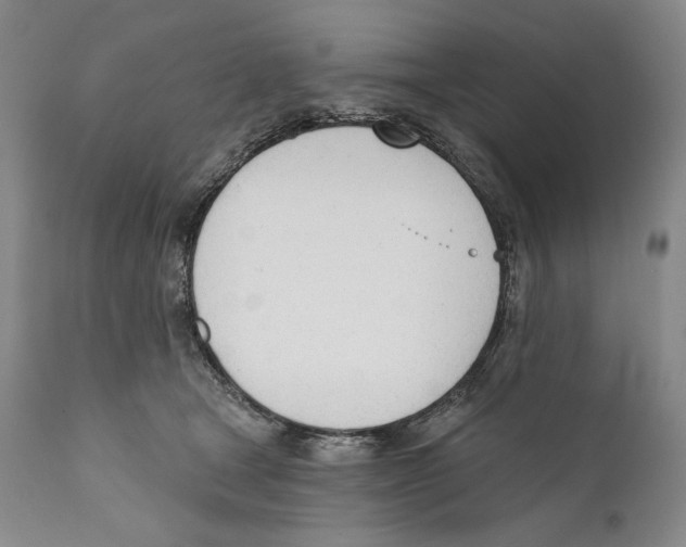 X0000110740465200907131124