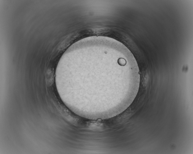 X0000110740471200907131125
