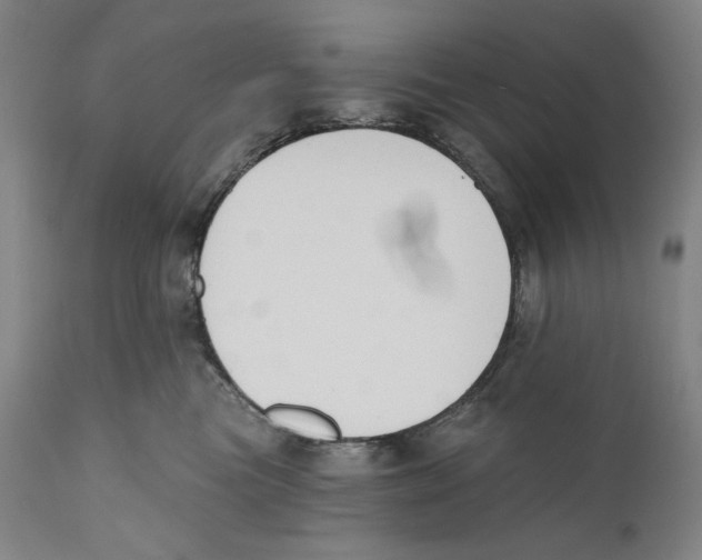 X0000110740473200907131125
