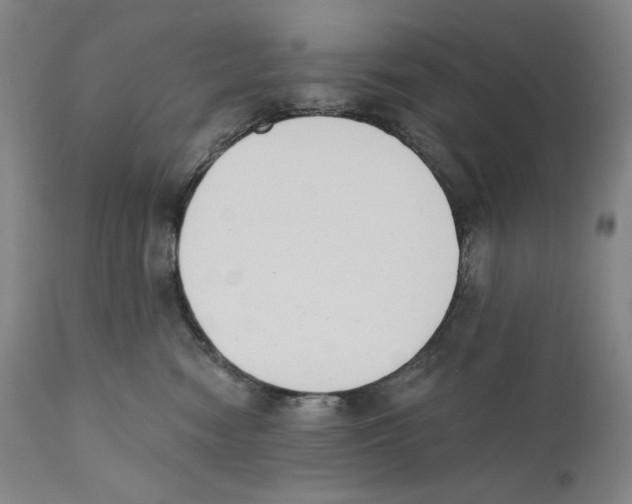 X0000110740474200907131125