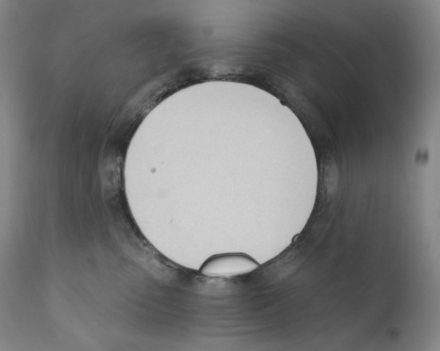 X0000110740475200907131125