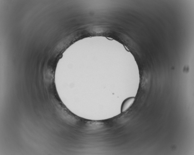 X0000110740476200907131125