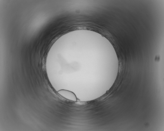 X0000110740477200907131125