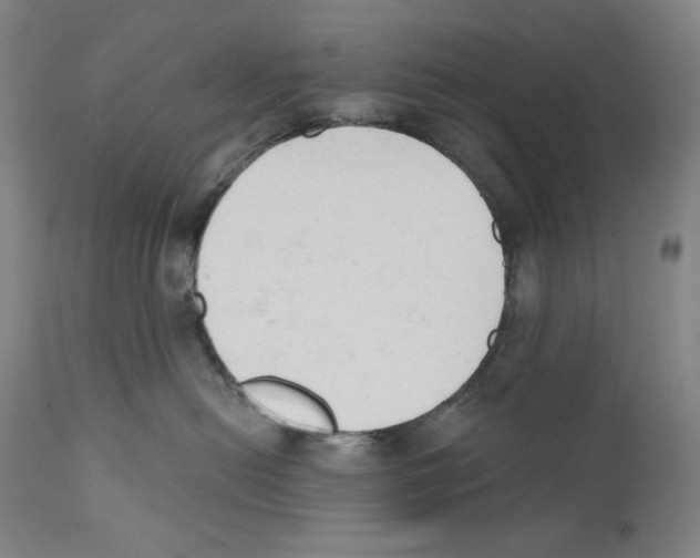 X0000110740478200907131125