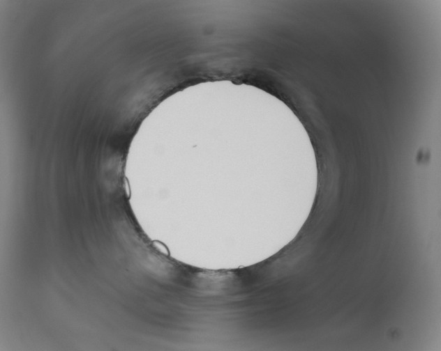 X0000110740480200907131125