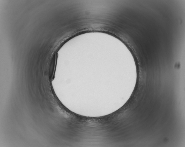 X0000110740481200907131124