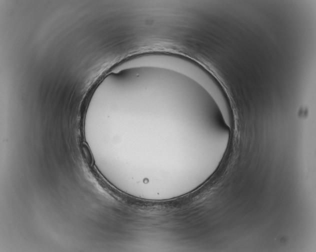 X0000110740485200907131124