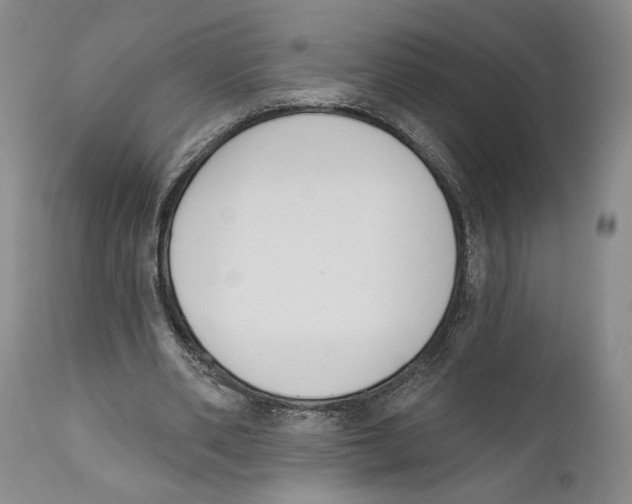 X0000110740486200907131124