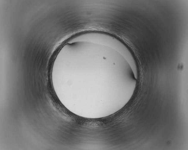 X0000110740488200907131124