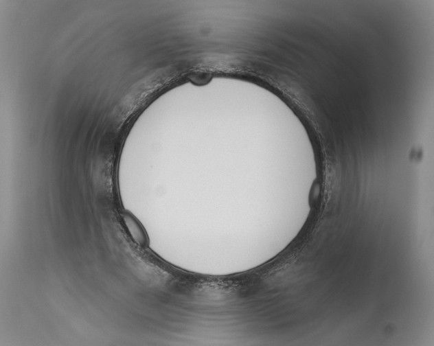 X0000110740489200907131124