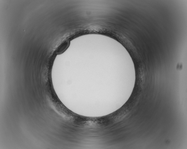X0000110740496200907131124
