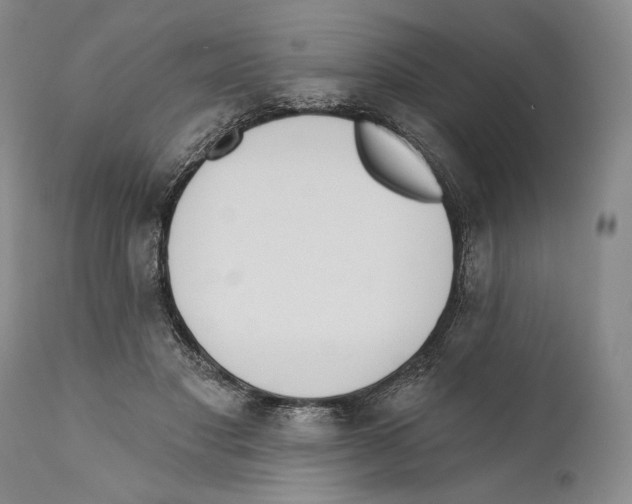X0000110740501200907131124