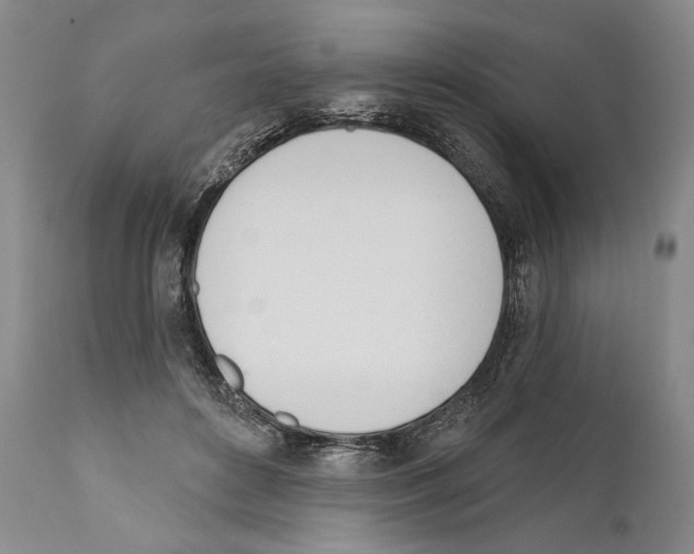 X0000110740504200907131124