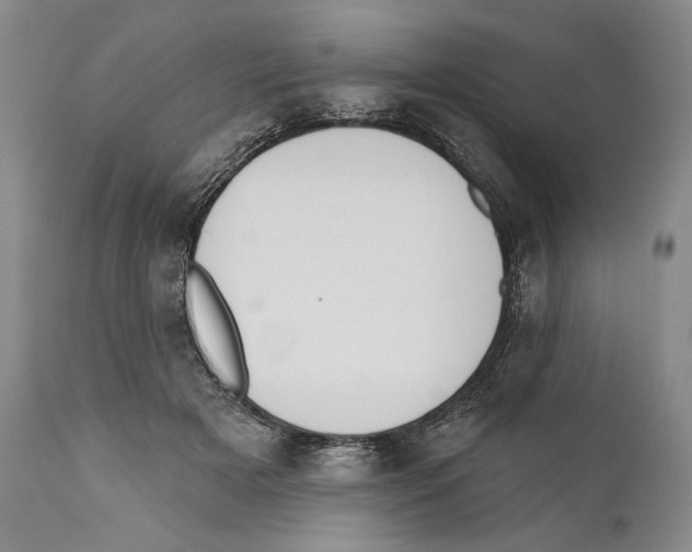 X0000110740505200907131124
