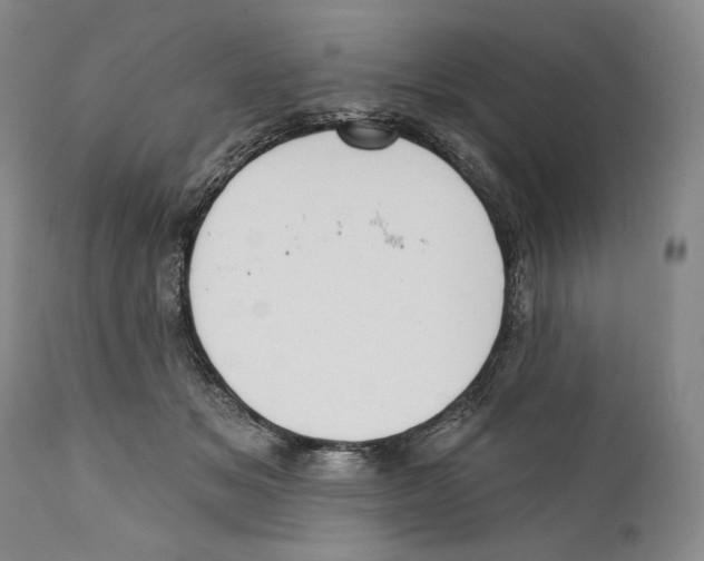 X0000110740509200907131124