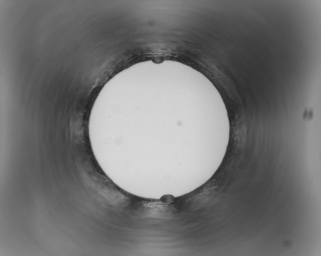 X0000110740516200907131124