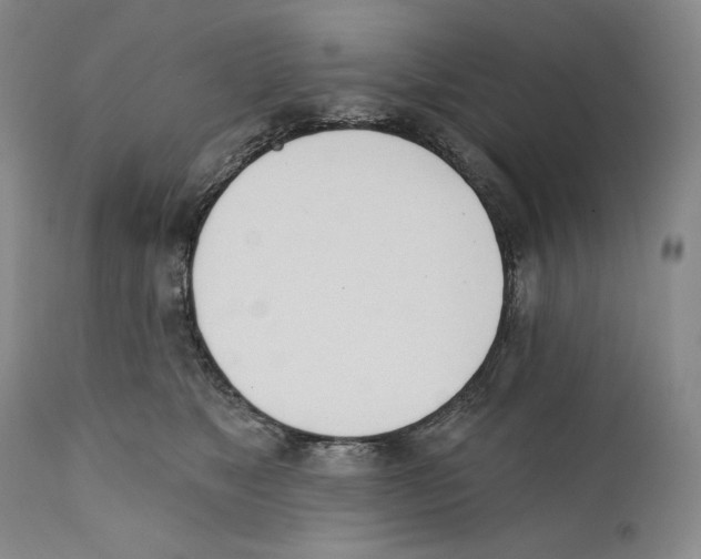 X0000110740517200907131124