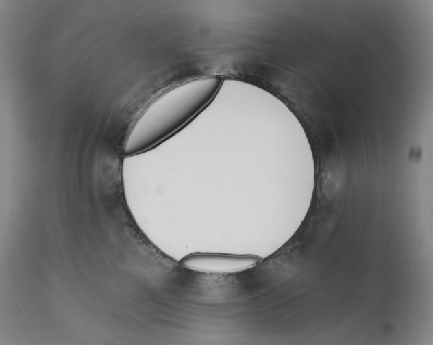 X0000110740521200907131123