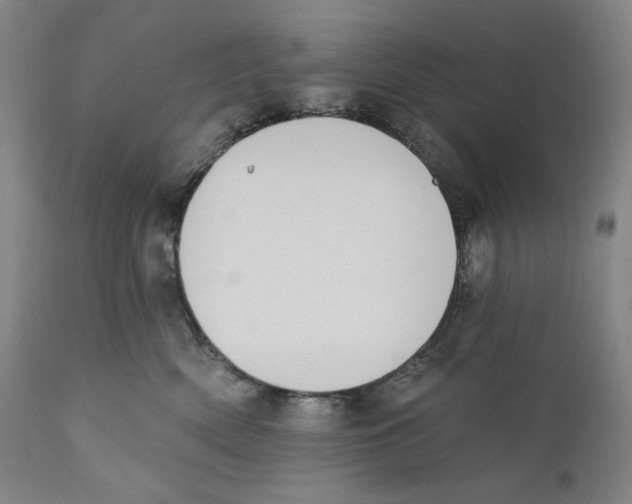 X0000110740522200907131123