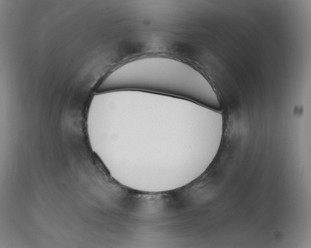 X0000110740524200907131123