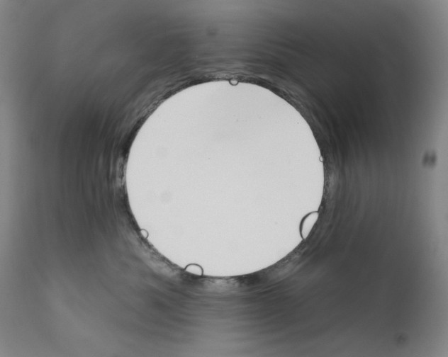 X0000110740525200907131123