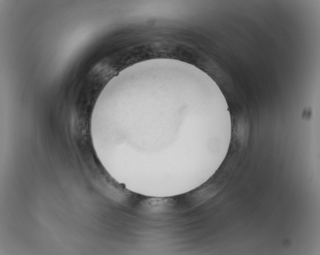 X0000110740526200907131123