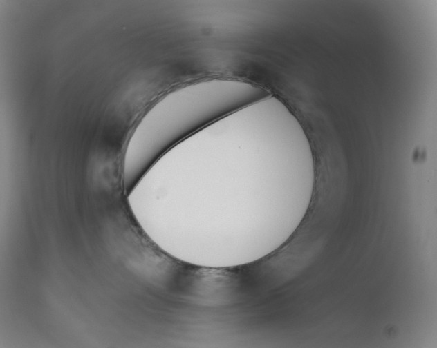 X0000110740528200907131123