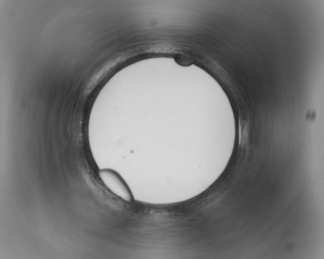 X0000110740531200907131123