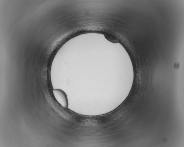 X0000110740535200907131123