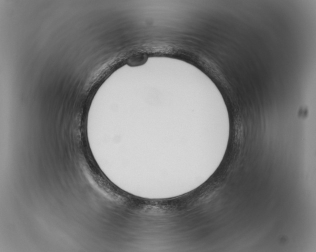 X0000110740538200907131123