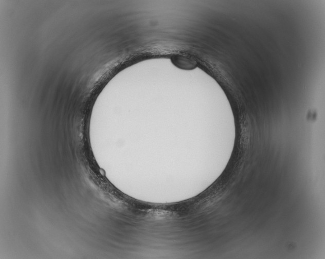 X0000110740539200907131123