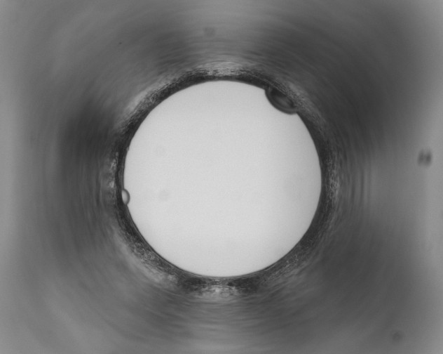 X0000110740543200907131123