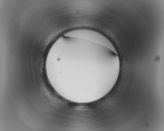 X0000110740544200907131123