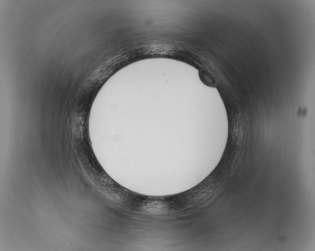X0000110740551200907131123