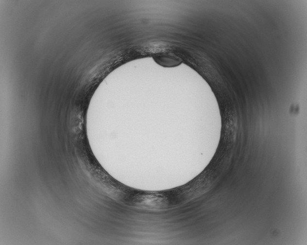 X0000110740555200907131123
