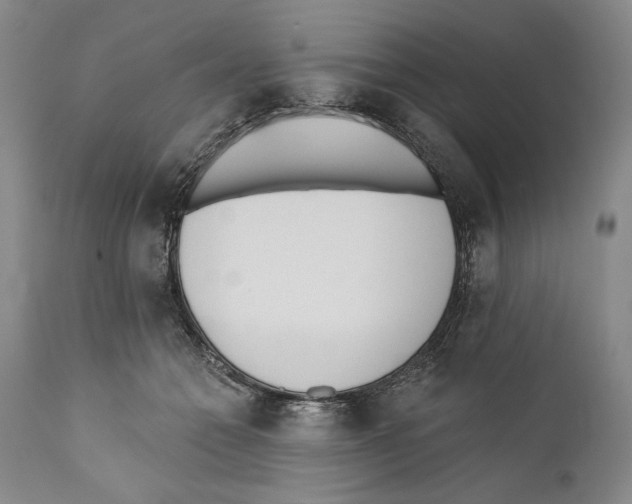 X0000110740558200907131123