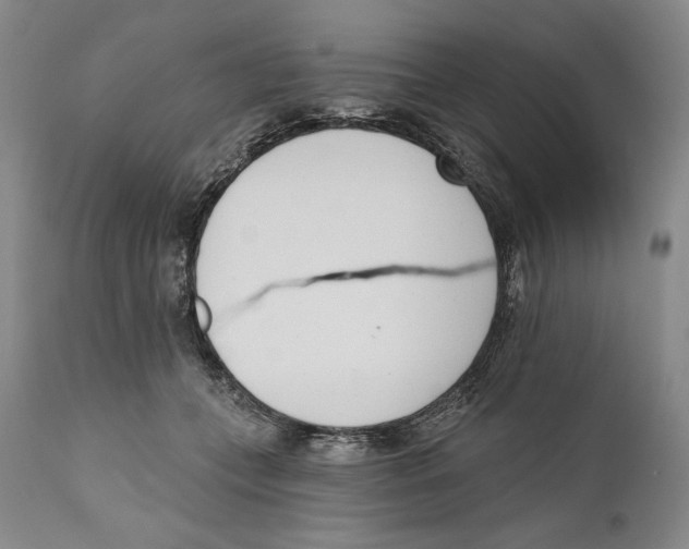 X0000110740559200907131123
