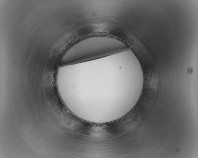 X0000110740560200907131123