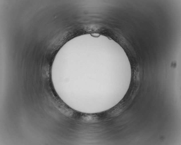 X0000110740561200907131123