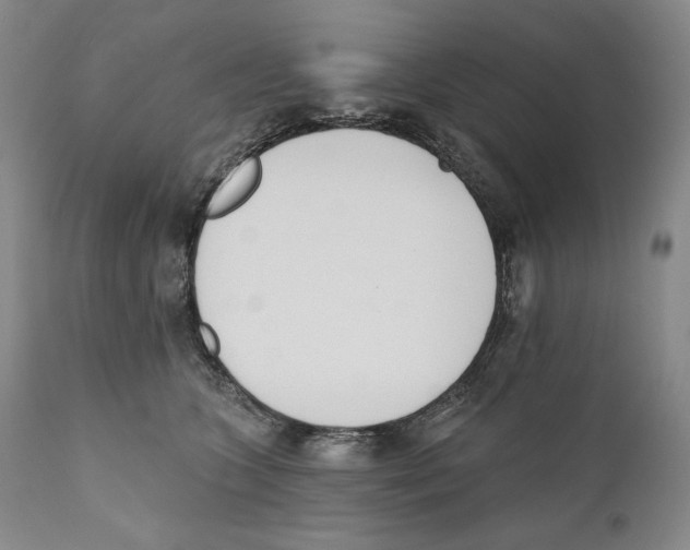 X0000110740563200907131123