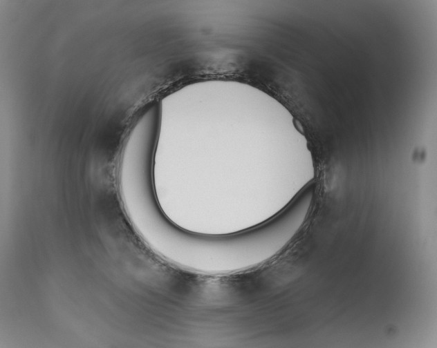 X0000110740564200907131123
