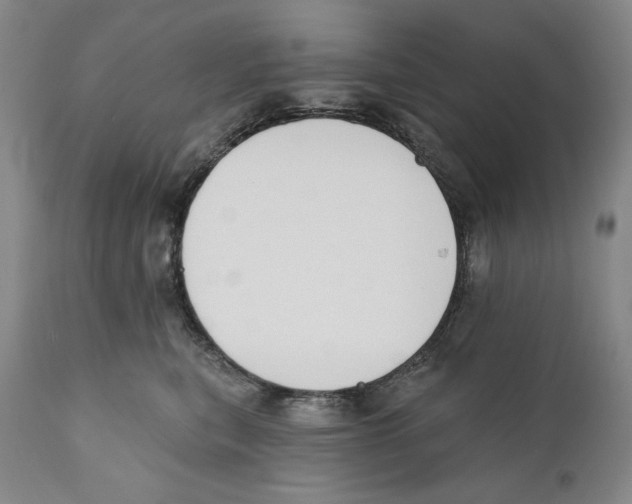 X0000110740567200907131123