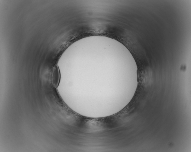 X0000110740568200907131123