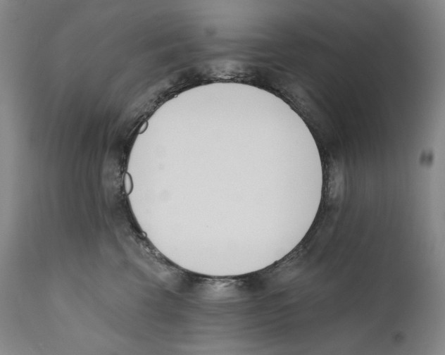X0000110740569200907131123