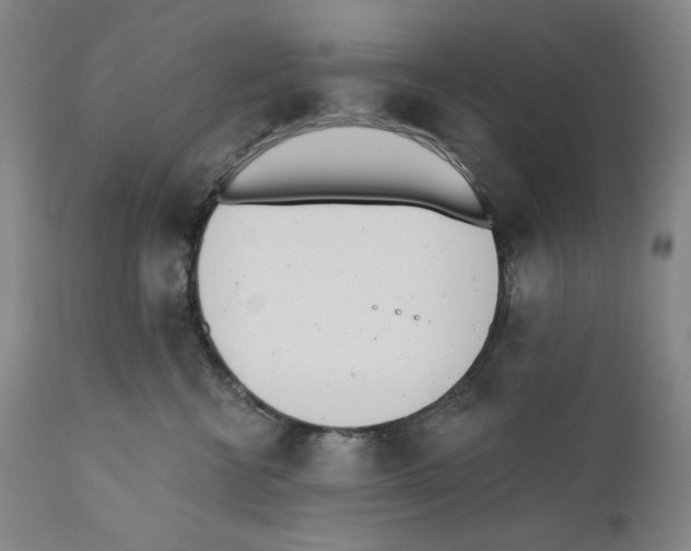 X0000110740570200907131123