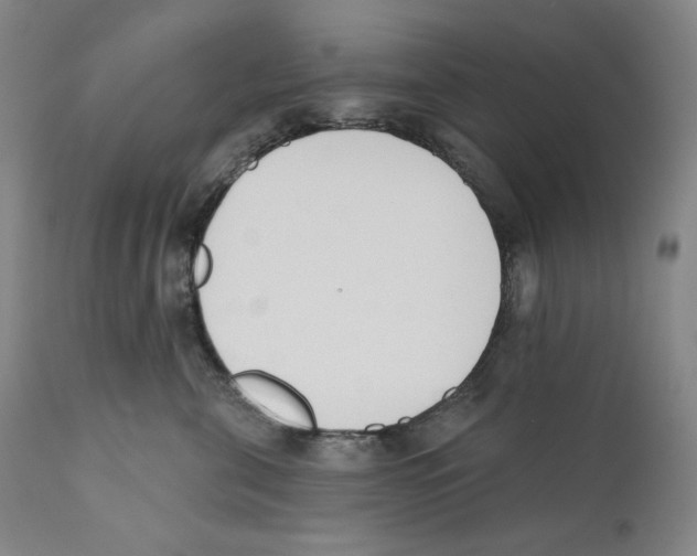 X0000110740571200907131123